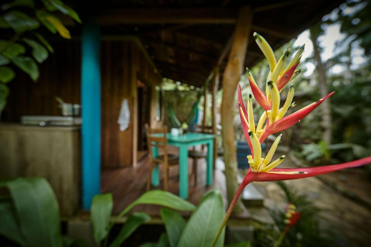 Casa Vana Hiriketiya ديكويلاّ تين المظهر الخارجي الصورة